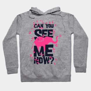 Can you see me now Hoodie